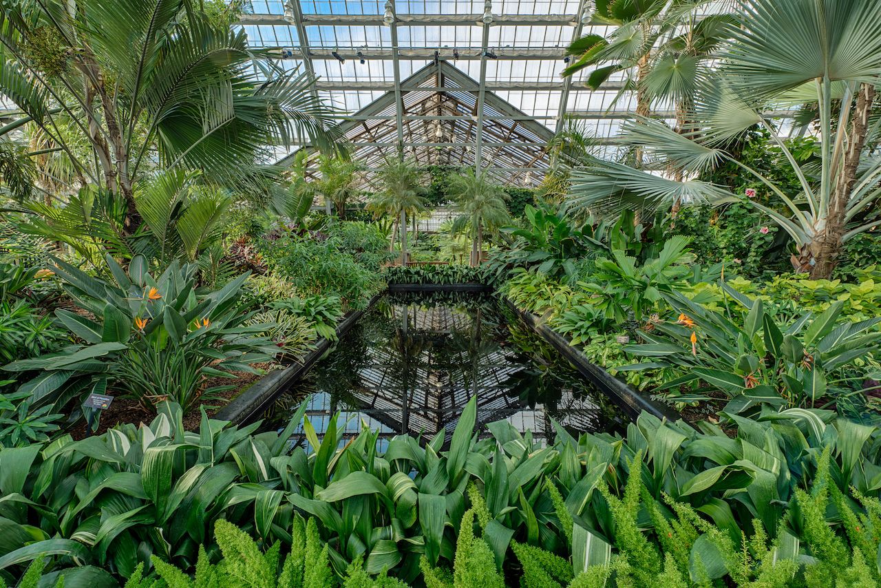 Garfield Park Conservatory in Chicago