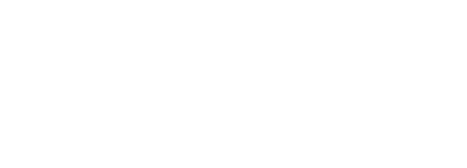 Shinrin Yoku: The Art of Forest Bathing