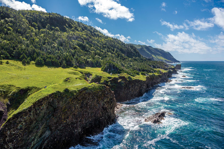 Green Gardens Gros Morne National Park Western