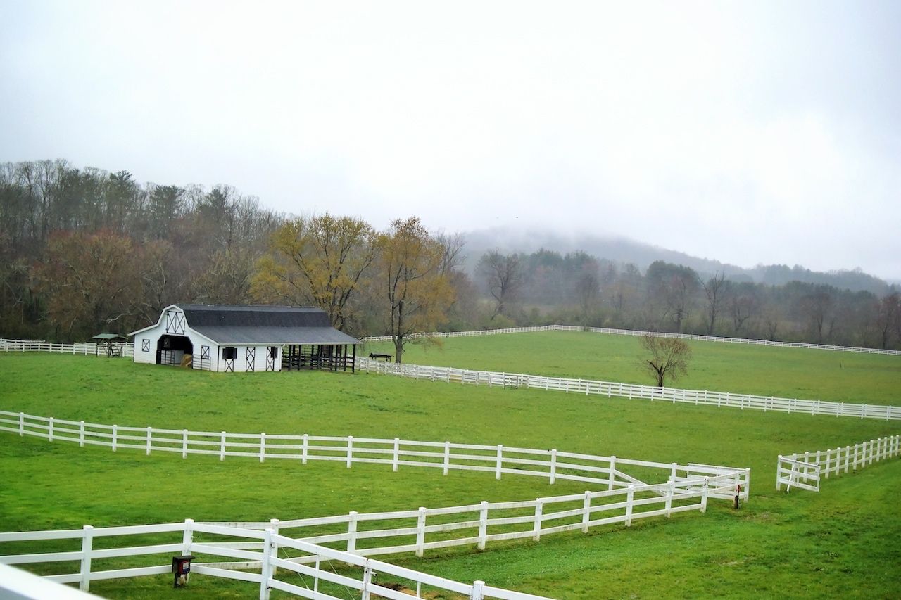 Mist at Horse Shoe Farm
